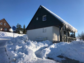 vila krkonoše, Černý Důl